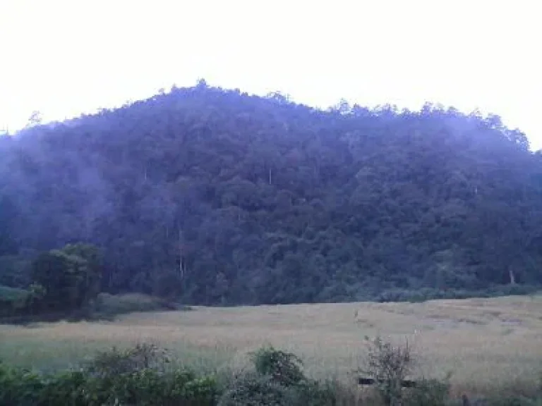 Lease Land on the Top Mountain View Called DOI with Wooden House Home stay