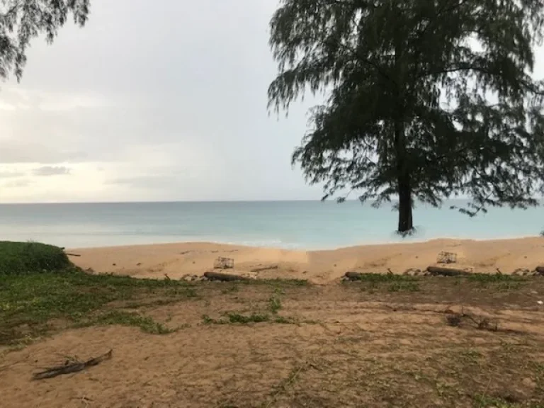 ขาย ที่ดินเปล่า ทำเลทอง หาดไม้ขาว ติดทะเลภูเก็ต ติดโรงแรม Holiday Inn Maikhao Phuket