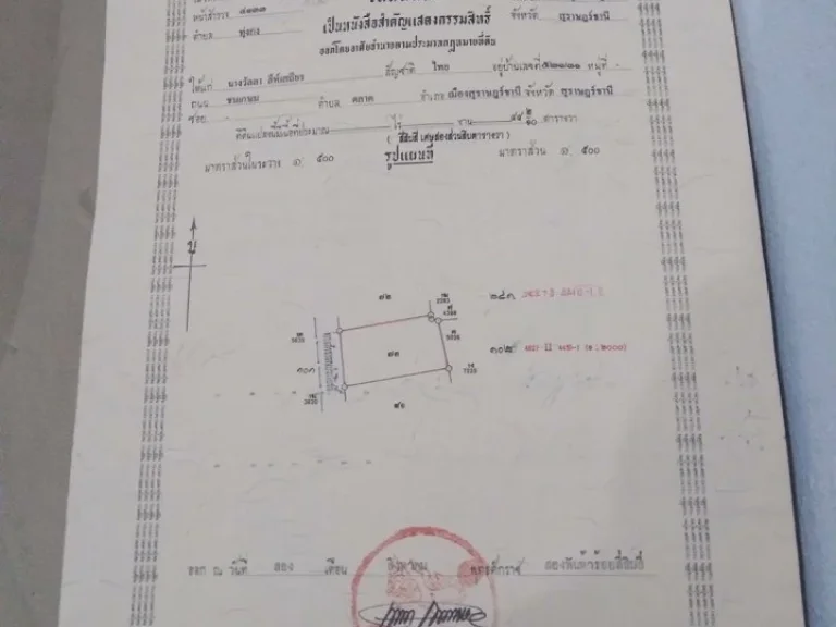 ขายที่ดิน 2 แปลงติดกัน 85 ตรว อกาญจนดิษฐ์ จสุราษฎร์ธานี