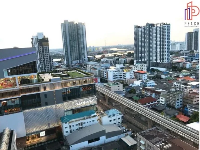 ขายคอนโด The Tree Interchange เดอะ ทรี อินเตอร์เชนจ์ บางซื่อ 1 นอน 1 น้ำ ใกล้ MRT บางโพ และเตาปูน