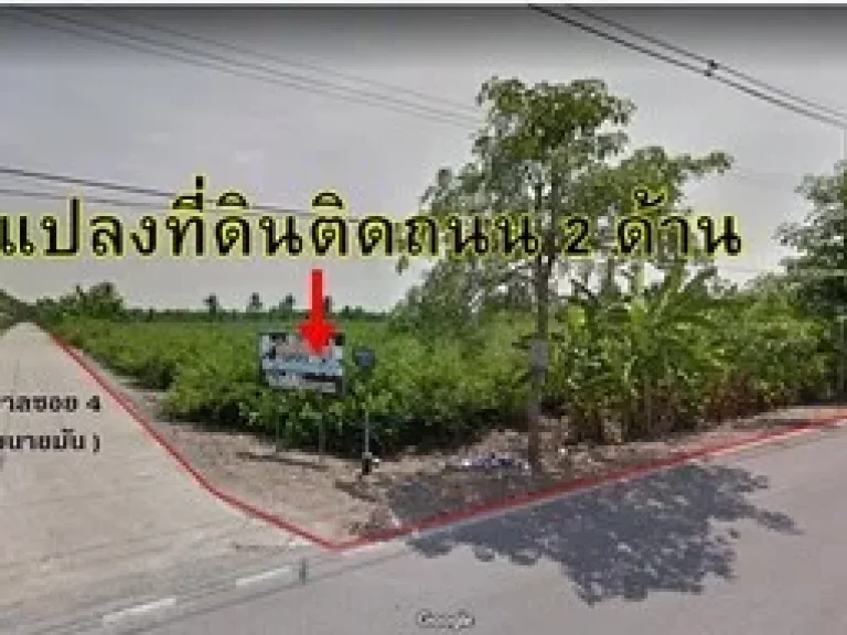 ขายที่ดินเปล่า ทำเลดี 4-1-80 ไร่ ติดถนน5003 ใกล้วัดคลองตันราษฎร์บำรุง บ้านแพ้ว ราคา65ล้าน