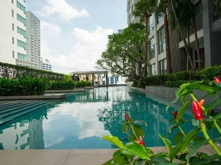 ให้เช่า คอนโดแต่งหรู QUATTRO THONGLOR 1bed 60ตรม ชั้น21 ตึก A 57000 บาทต่อเดือน