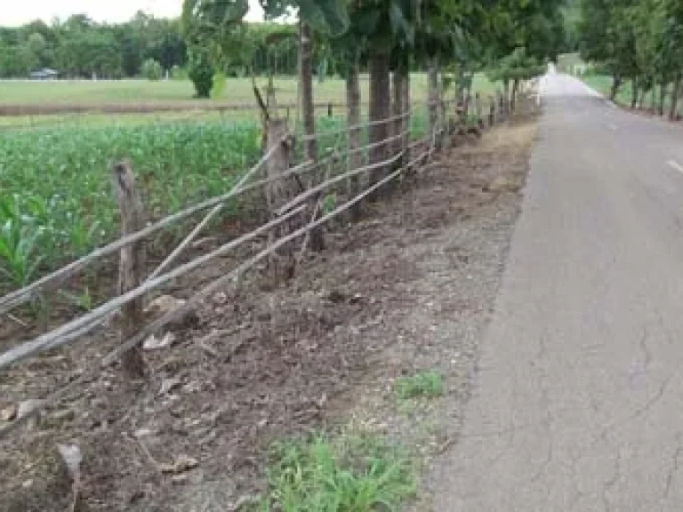 ที่ดิน 1ไร่ พระธาตุผาแดง บ้านค้างภิบาล