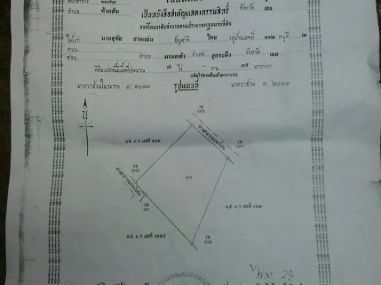 ด่วนๆๆๆๆขายที่ดินโฉนด7ไร่ ราคายกแปลง 1ล้านบาท ต่อรองได้ร้อนเงิน