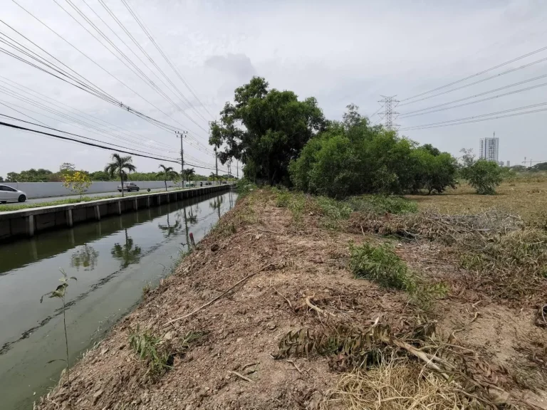 ขายที่ดินเลียบคลองแจ้งวัฒนะ ใกล้เมืองทอง