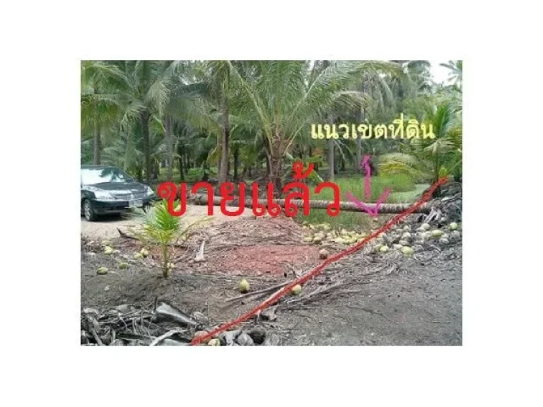 ขายที่ด่วนมากๆ ที่ดินเกือบๆ 5 ไร่