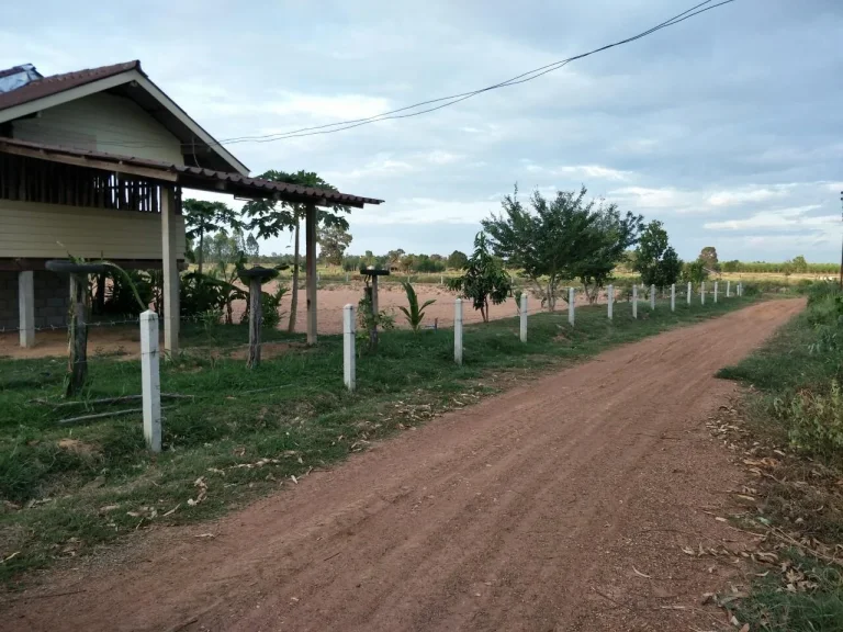 ขายที่ดินโฉนด 6 ไร่ อบ้านฝาง เหมาะทำไร่นาสวนผสม