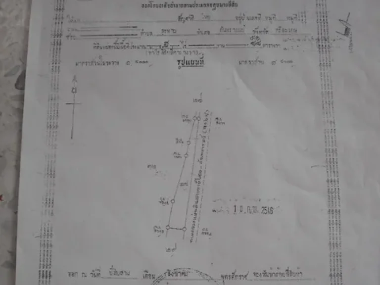 ขายที่นา 4 ไร่ 31 ตรวติดถนนทางหลวงสายราศีไศล-กันทรารมย์