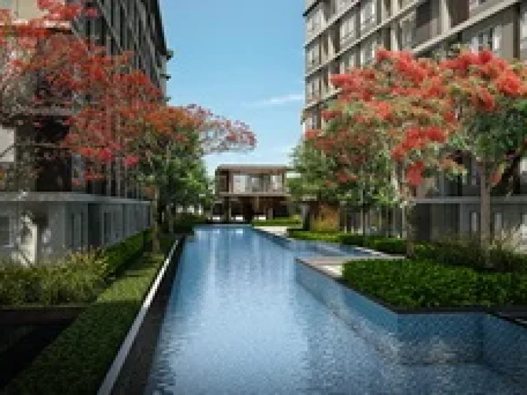 D Condo Campus Resortรังสิต-ธรรมศาสตร์ โครงการใหม่ล่าสุด