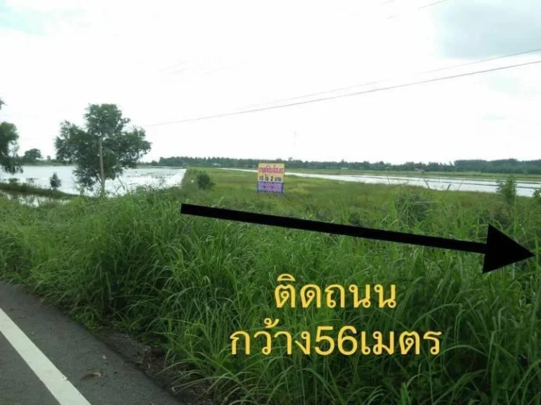 ขายที่ดินเหมาะทำการเกษตร-บ้านพักอาศัย-เก็งกำไร