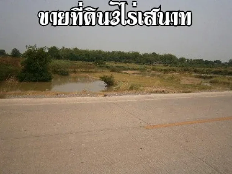 ขายที่ดินเสนาท