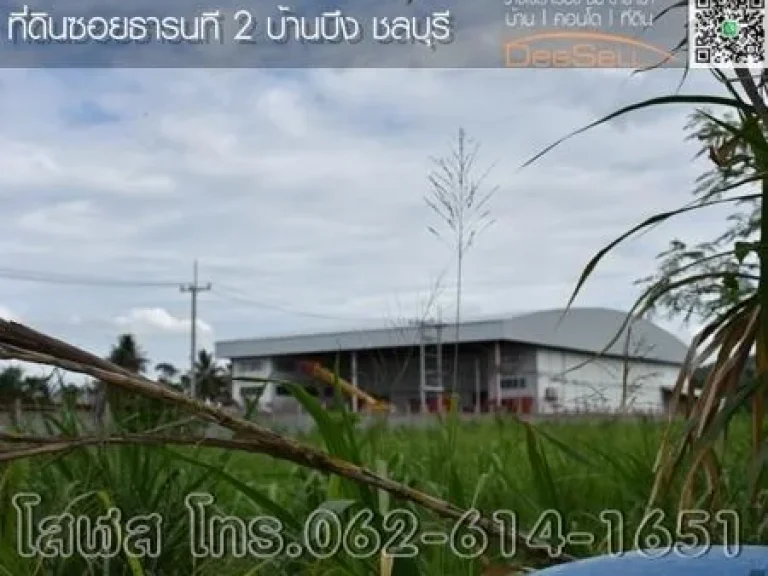 ขายที่ดินหน้ากว้าง45x175ม ทำเลดีบ้านบึง ซธารนที2