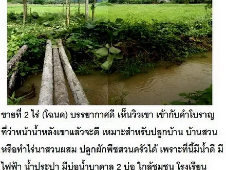 ขายที่ 2 ไร่ โฉนดสำหรับปลูกบ้าน มีไฟฟ้า น้ำประปา มีบ่อน้ำบาดาล 2 บ่อ ใกล้ชุมชน โรงเรียน