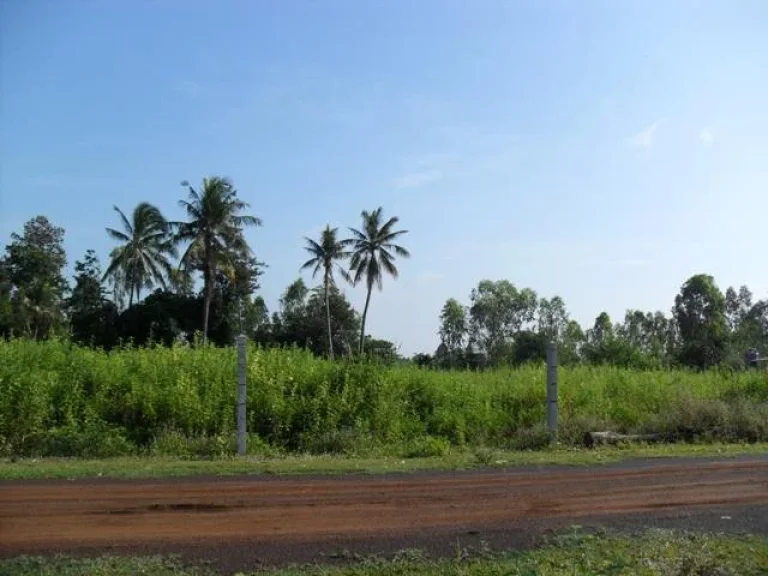 ขายที่ดินในบ้านเชื้อเพลิง ถสุรินทร์-ปราสาท จำนวน 2 ไร่ 3 งาน ห่างจากถนนใหญ่ 600 เมตร