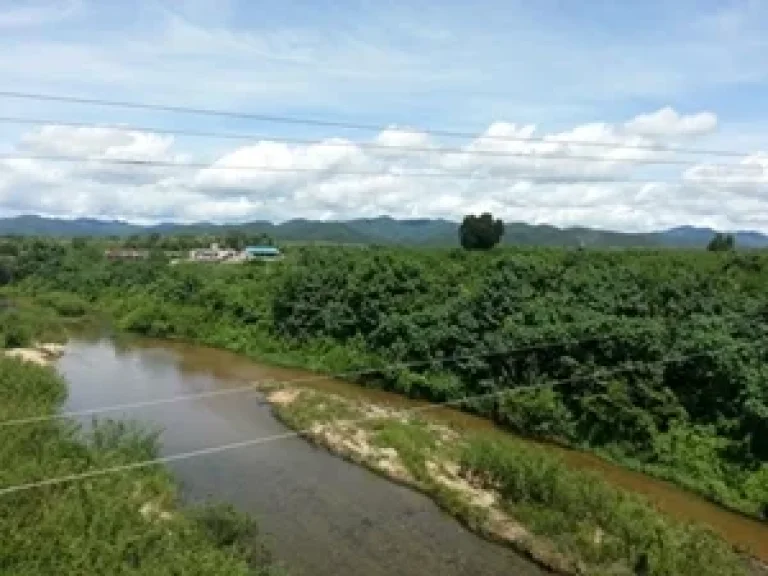 ที่ดินแปลงสวยที่ชัฏป่าหวายราชบุรีเจ้าของขายเอง