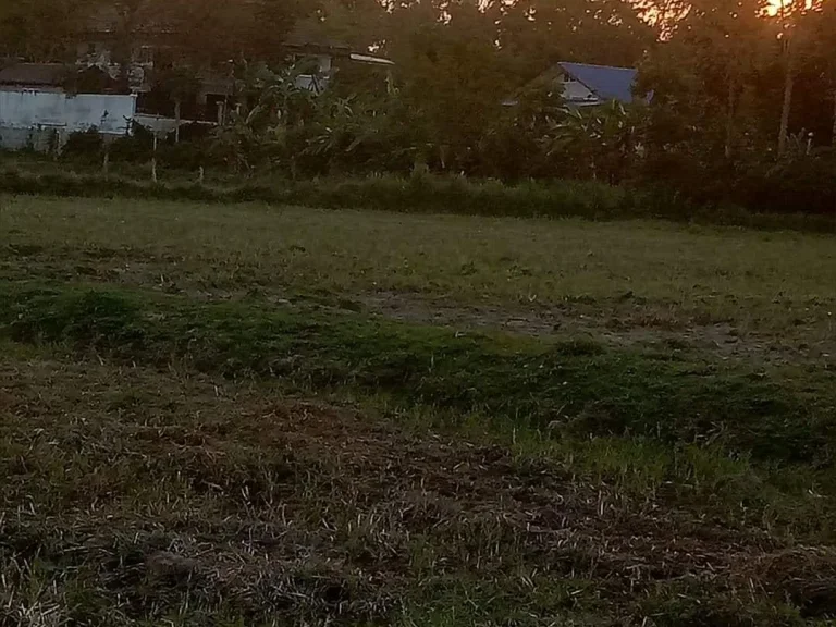 ที่ดินในเทศบาล ประโคนชัย