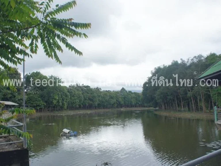 แบ่งขายที่ดินติดแม่น้ำจัน  ที่ดินไทย โฉนด 2ไร่ ตท่าหลวง อมะขาม จจันทบุรี รหัส 1646