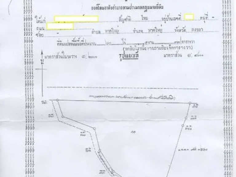 ขายที่ดินพร้อมสวนยางทำเลสวยติดถนนสายคลองแงะ-วังปริง 60 ไร่ 1 งาน 37 ตารางวา