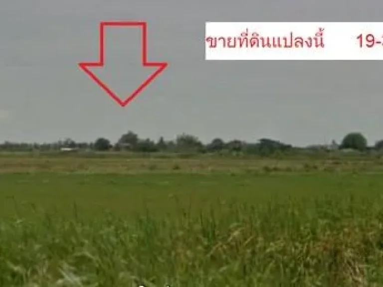 ขายที่ดิน 19 ไร่ ใกล้เมือง โคกโคเฒ่า เมืองสุพรรณ