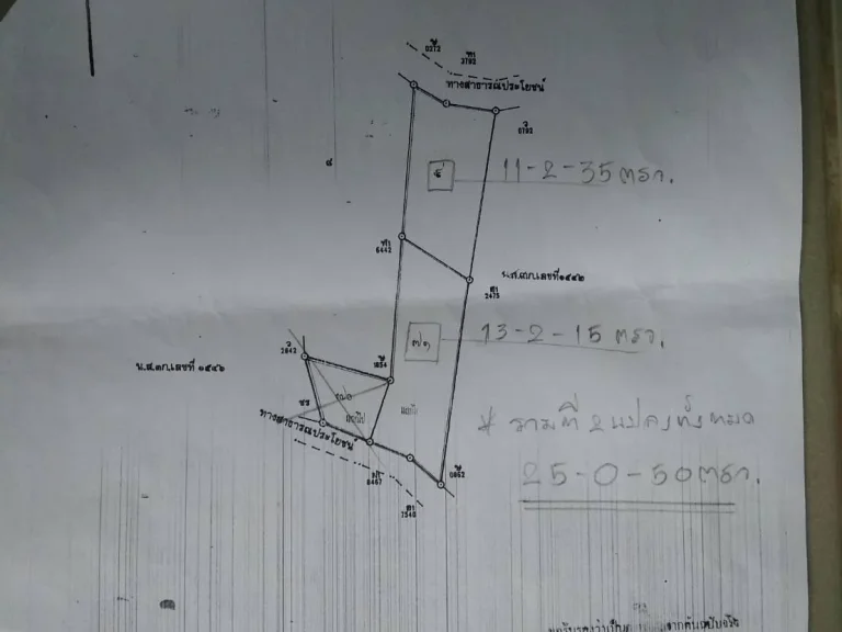 ประกาศขายที่ปลูกมัน25ไร่50ตรวขายไร่ล่ะ75000บไร่