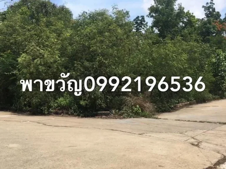 ขายที่ดินจัดสรร 992 ตรวา สามโคก ปทุมธานี