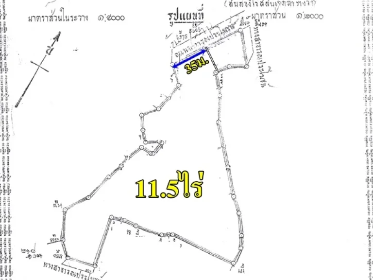 115ไร่ ติดถนนเส้นท่าวัว-เตาปูน ยกแปลง 7 ล้าน