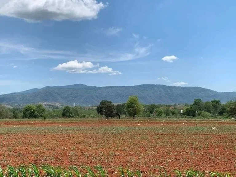 ที่ดินปากช่อง เขาใหญ่ บ้านสระน้ำใส 3ไร่ โฉนดพร้อมโอน หน้าติดถนนสาธารณะ น้ำ ไฟพร้อม โฉนดพร้อมโอน