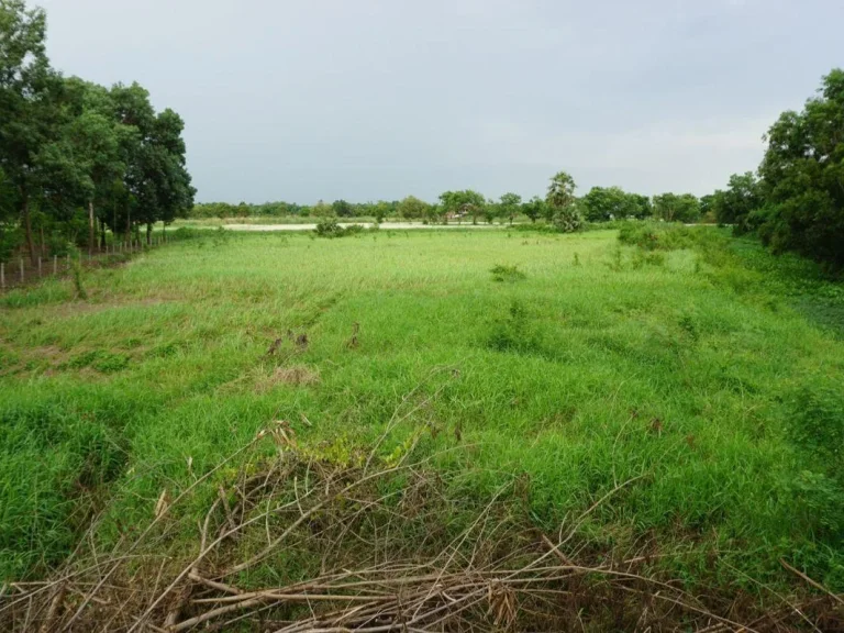 ขาย ที่ดิน สุวินทวงศ์ หนองจอก ราคาถูก ซสุวินทวงศ์ 110 ที่ดินริมคลอง 3 ไร่ 52 ตารางวา