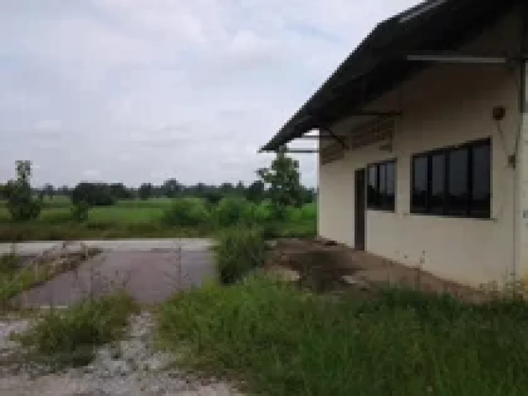 ขายด่วนลานมันพร้อมใช้งาน มีตราชั่งใหญ่และอาคารสำนักงาน อำเภอศรีธาตุ อุดรธานี