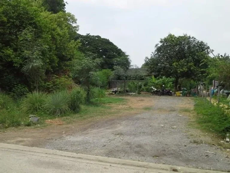 Land for Sale Nawamin127 135sq wah