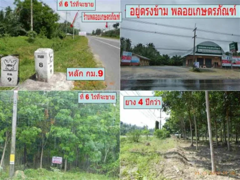 ที่ 5 ไร่กว่า ติดถนนไป อขนอม หลักกม 9 ตรงข้ามร้านพลอยเกษตรภัณฑ์