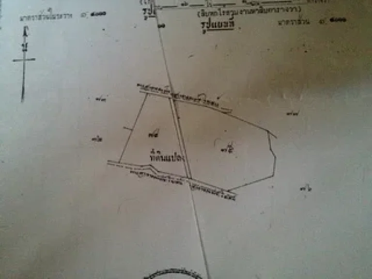 สนใจต่อลองมาเลยที่ดิน 25 ไร่ ติดทางสาธารณะ 2 ด้าน น้ำไม่ท่วม