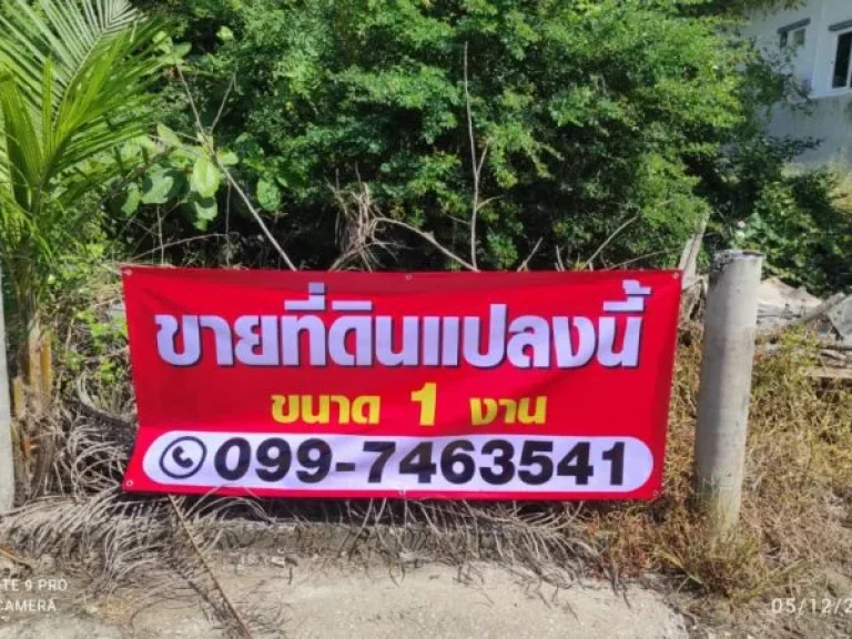 ขาย ที่ดิน พุทธมณฑลสาย 7 นครชัยศรี 1 งาน