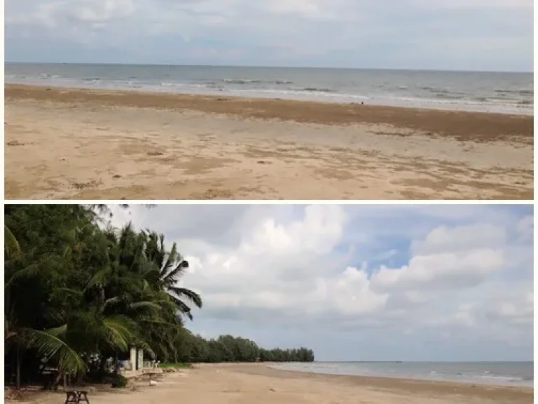 ขายที่ดิน ด้านหน้าติดถนนเลียบชายหาดเจ้าหลาว ด้านหลังติดชายหาดเจ้าหลาว เนื้อที่4ไร่3งาน9ตรว หาดสวยทรายขาว เหมาะทำที่พัก