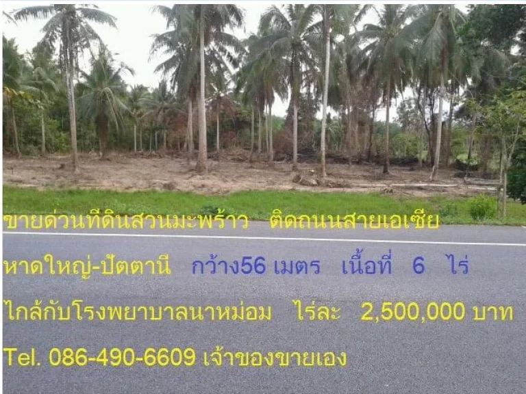 ขายที่ดิน อนาหม่อม ติดถนนสายเอเซีย หาดใหญ่-จะนะ กมที่ 15400