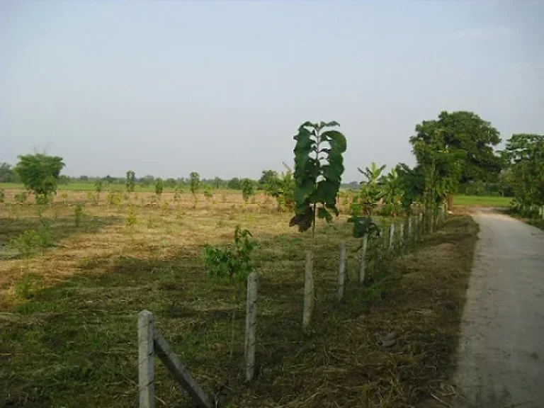 ที่ดินแปลงสวย 3 ไร่กว่า ใกล้สนามบินเชียงราย บายพาสใหม่