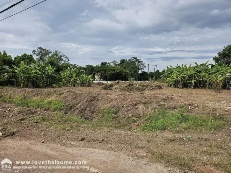 ขายที่ดินเปล่า ในตัวเมืองปราจีนบุรี ถทางหลวงชนบท ปราจีนบุรี