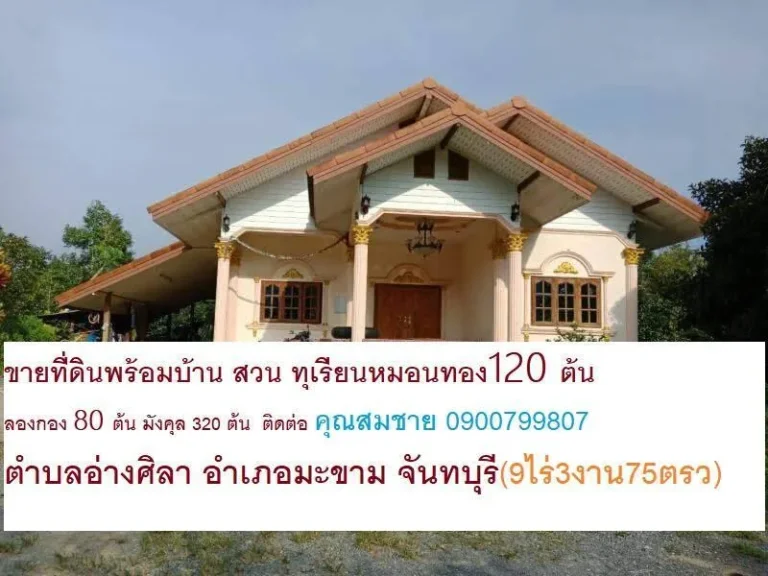 ขายที่ดิน พร้อมบ้านมังคุด 320ต้น ขายที่ดินพร้อมบ้าน 