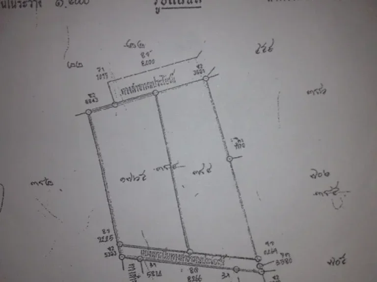 ขายที่ดิน 2ไร่ ในนิคมอมตะนคร จากหน้าอีเทคเข้าจากเส้นบ้านเก่า-หนองตำลึงไป17กิโล