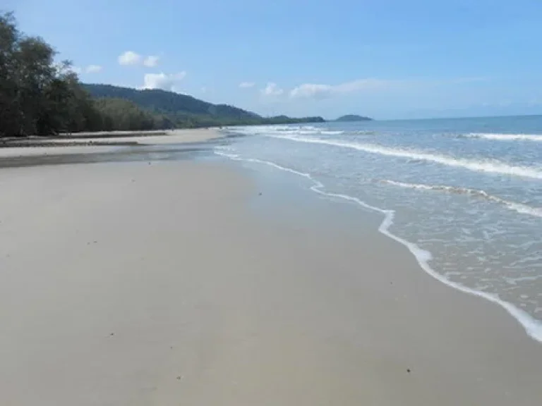 ขายที่ดิน 56 ไร่กว่า หน้าติดถนนสุขุมวิท หลังติดทะเลเป็นชายหาดส่วนตัว จตราด