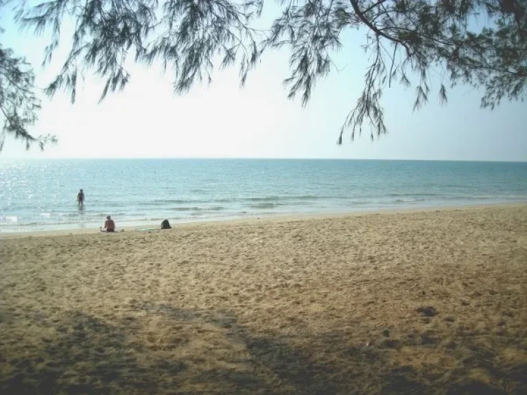 ติดทะเลหาดส่วนตัว15ไร่หาดห้วยยาง ติดโครงการหาดสุรินทร์บีช