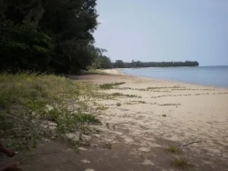 ขายที่ดิน200วา หน้าติดทะเลหลังติดถนนดำ ทับสะแก ทะเลใส ชายหาดสวย15ล้าน