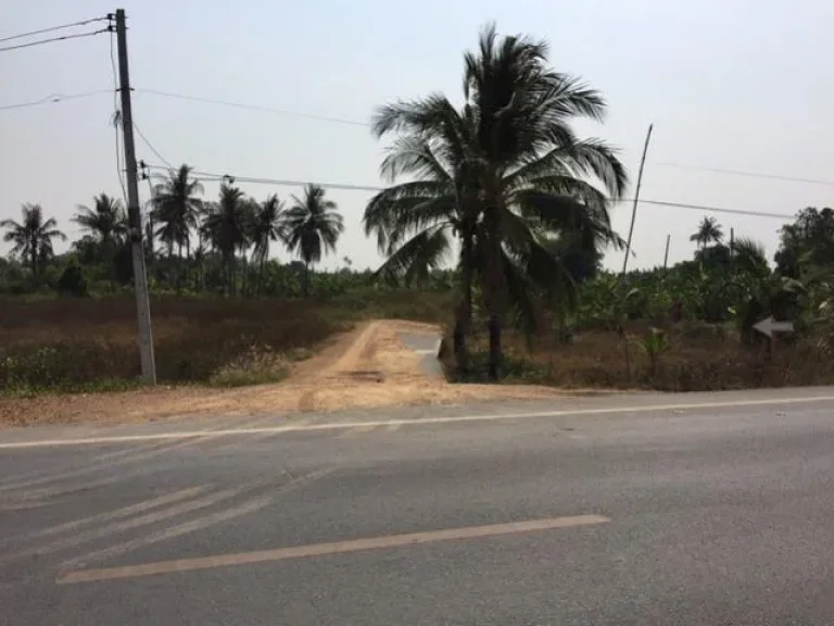 ขายที่ดินเปล่า ในถนนสายบ้านปทุม ทำเลดี ปทุมธานี