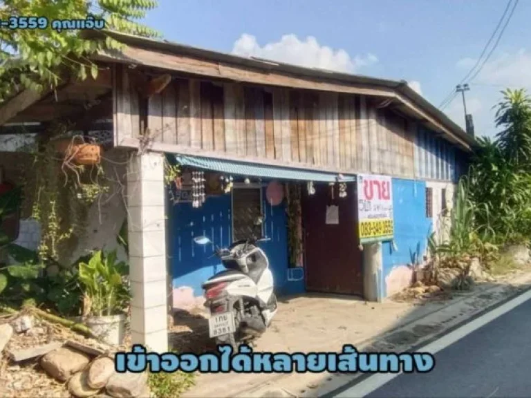 ขายบ้านเดี่ยว ชั้นเดียว ตนางบวช อเดิมบางนางบวช จสุพรรณบุรี