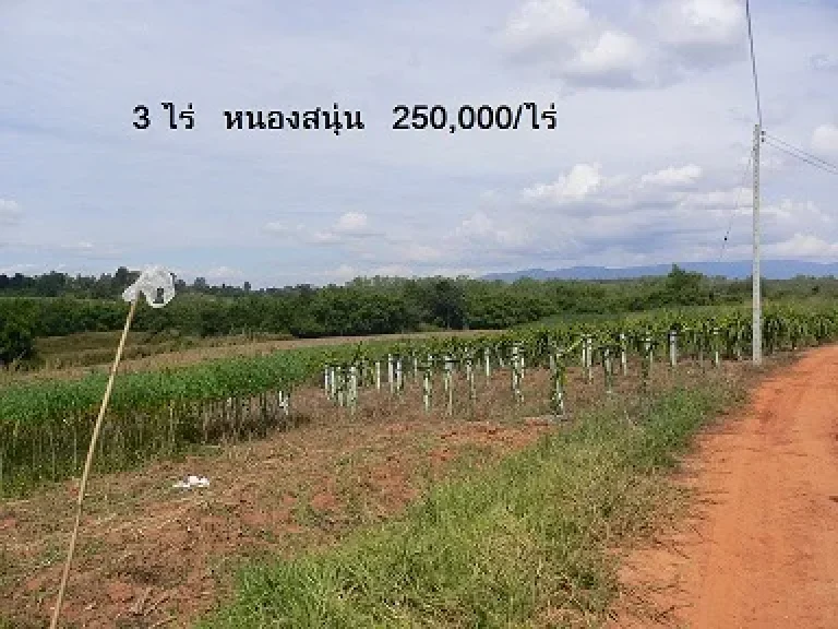 ขายที่ดินเปล่าโฉนดพร้อมโอน 3 ไร่ ตร่องจิก อด่านซ้าย จเลย ไร่ละ 250000 บาท