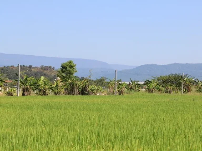 ที่ดินอยู่ในโซนท่องเที่ยวของจังหวัด 10นาที ไปถึง เขื่อนฯ น้ำตก แม่น้ำ