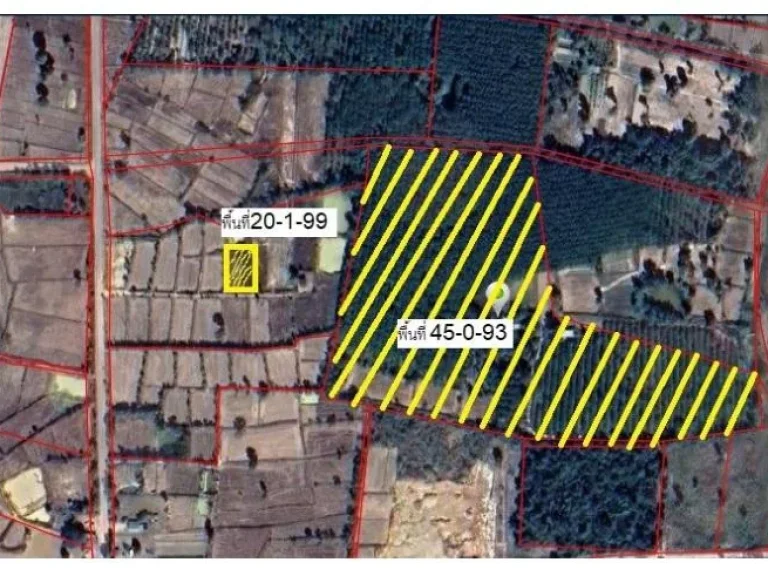 ขายที่ดินพร้อมสวนยาง 65-1-182 จมุกดาหาร พร้อมกรีด 2 แปลง