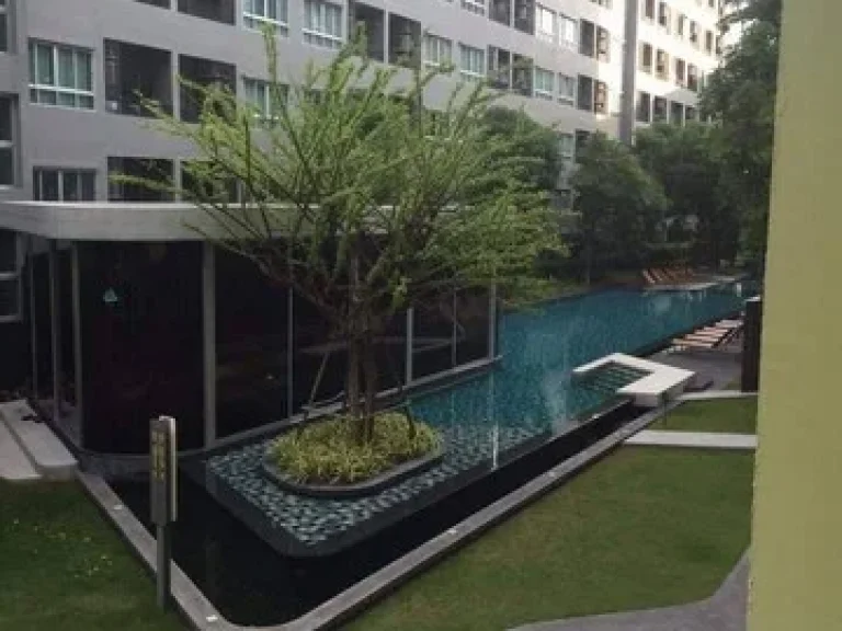 Elio Sukhumvit 64 calm convenient comfortable BTS Punnawithi