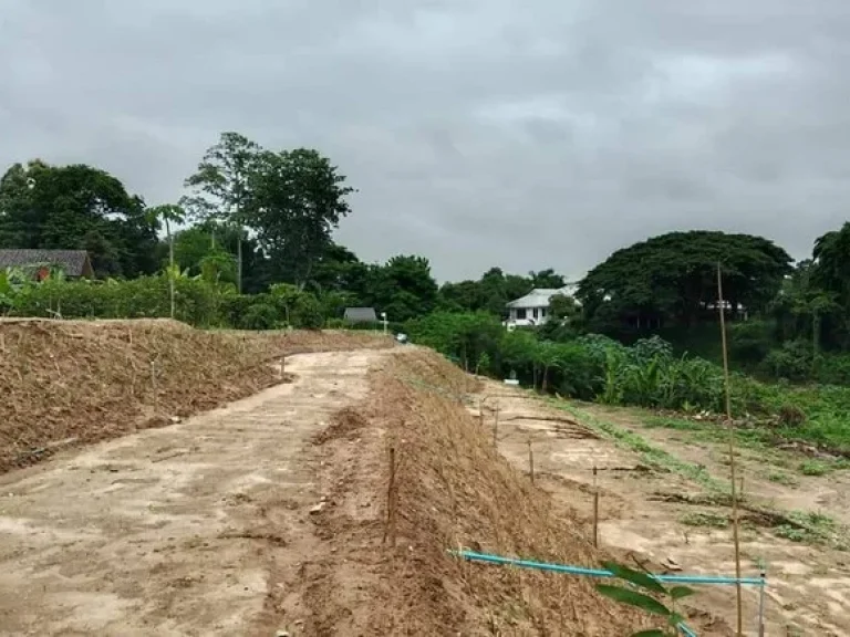 ที่ดินติดริมแม่น้ำปิงอำเภอเมือง จเชียงใหม่ ราคาถูกว่าสุด