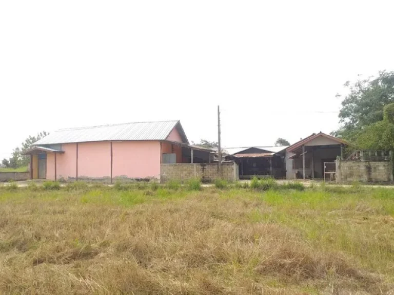 ขายด่วน บ้านพร้อมที่ดินขนาดกว้างใหญ่ ราคาถูก จังหวัดสุโขทัย